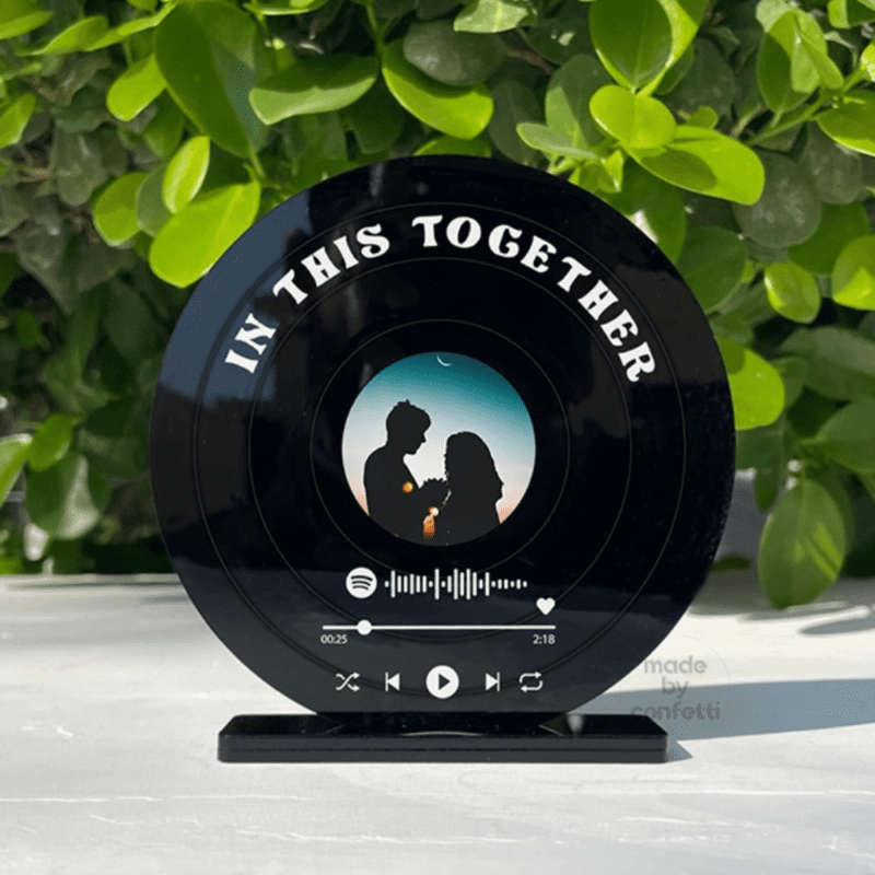Vinyl Record Disc
