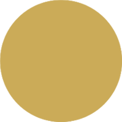 Matte Gold