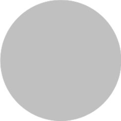 Matte Silver