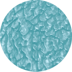 Ocean Light Blue [+د.إ15.00]